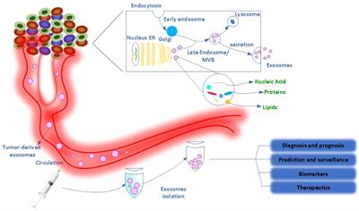 Paper-based biosensors as point-of-care diagnostic devices for the detection of cancers: a review of innovative techniques and clinical applications